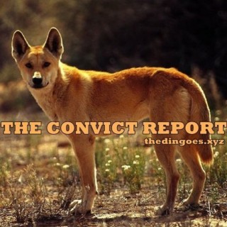 The Convict Report